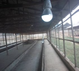 Poultry Solar Electrification Without Inverter/ Generator